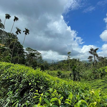 Rainforest Cabin デニヤヤ エクステリア 写真