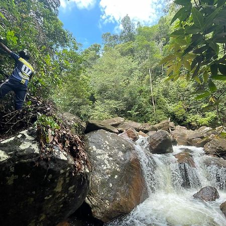 Rainforest Cabin デニヤヤ エクステリア 写真