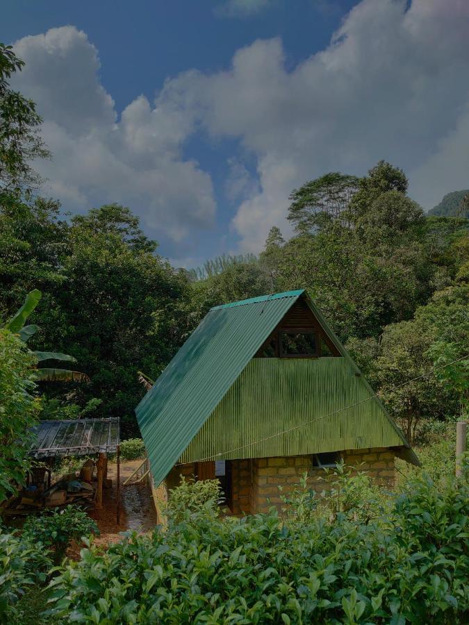 Rainforest Cabin デニヤヤ エクステリア 写真