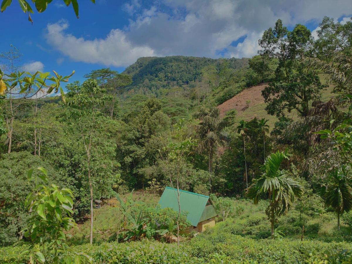 Rainforest Cabin デニヤヤ エクステリア 写真