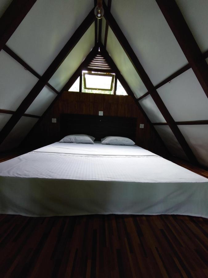 Rainforest Cabin デニヤヤ エクステリア 写真