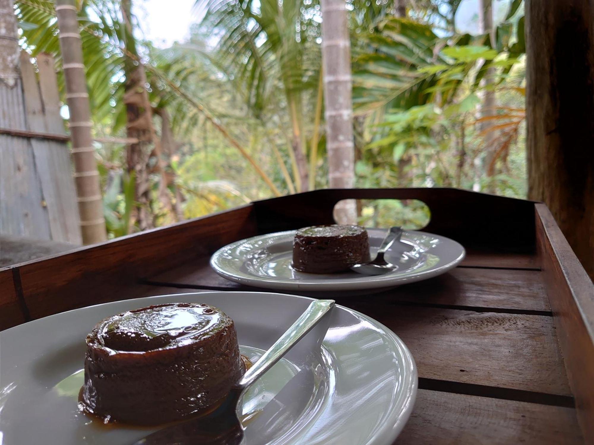 Rainforest Cabin デニヤヤ エクステリア 写真