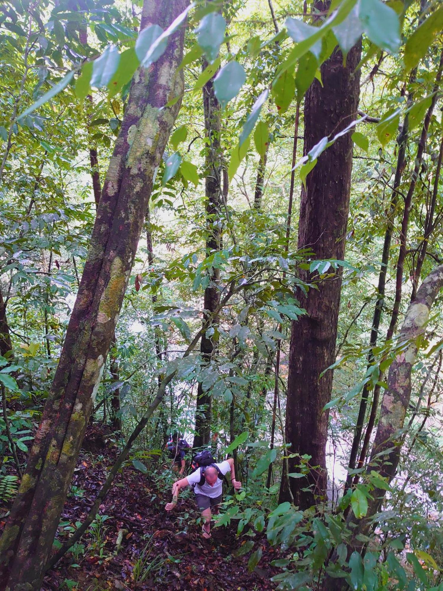 Rainforest Cabin デニヤヤ エクステリア 写真