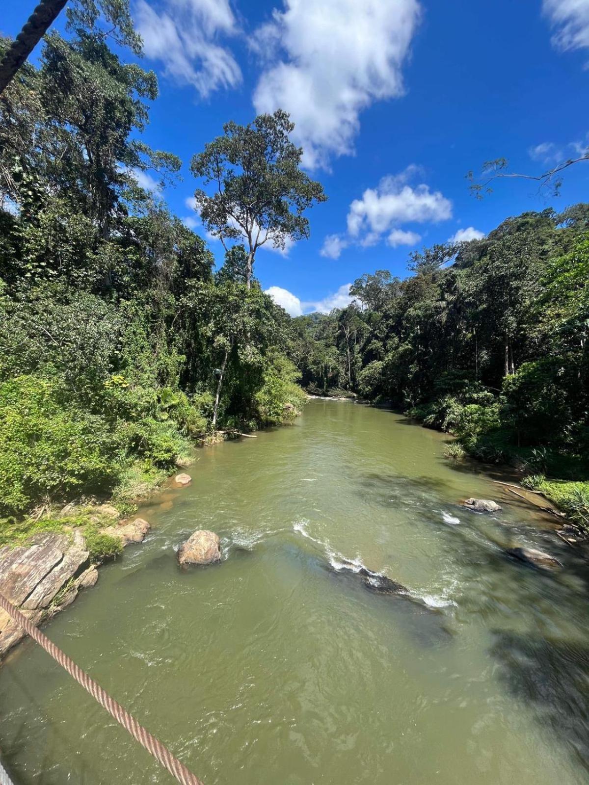 Rainforest Cabin デニヤヤ エクステリア 写真