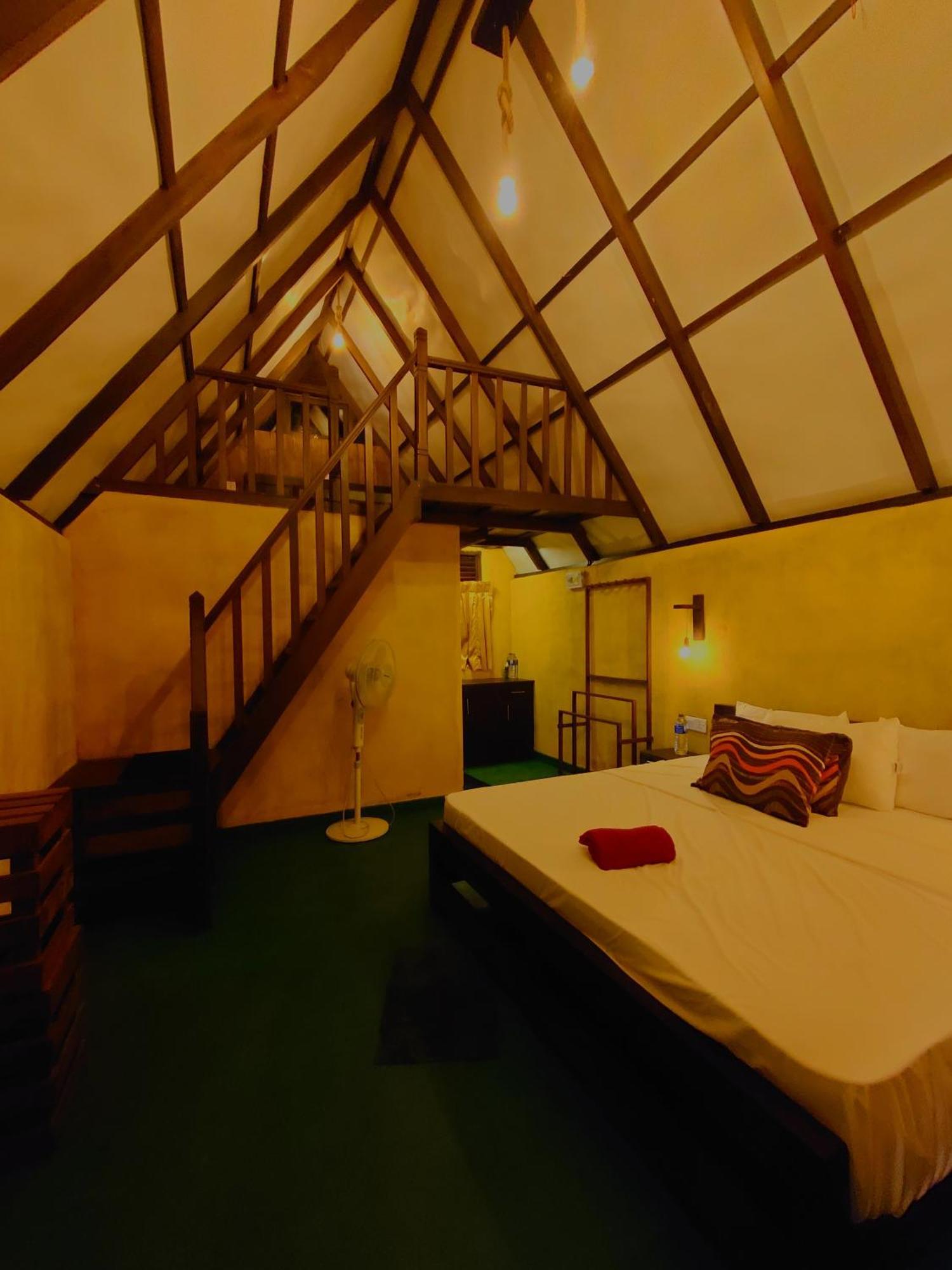 Rainforest Cabin デニヤヤ エクステリア 写真