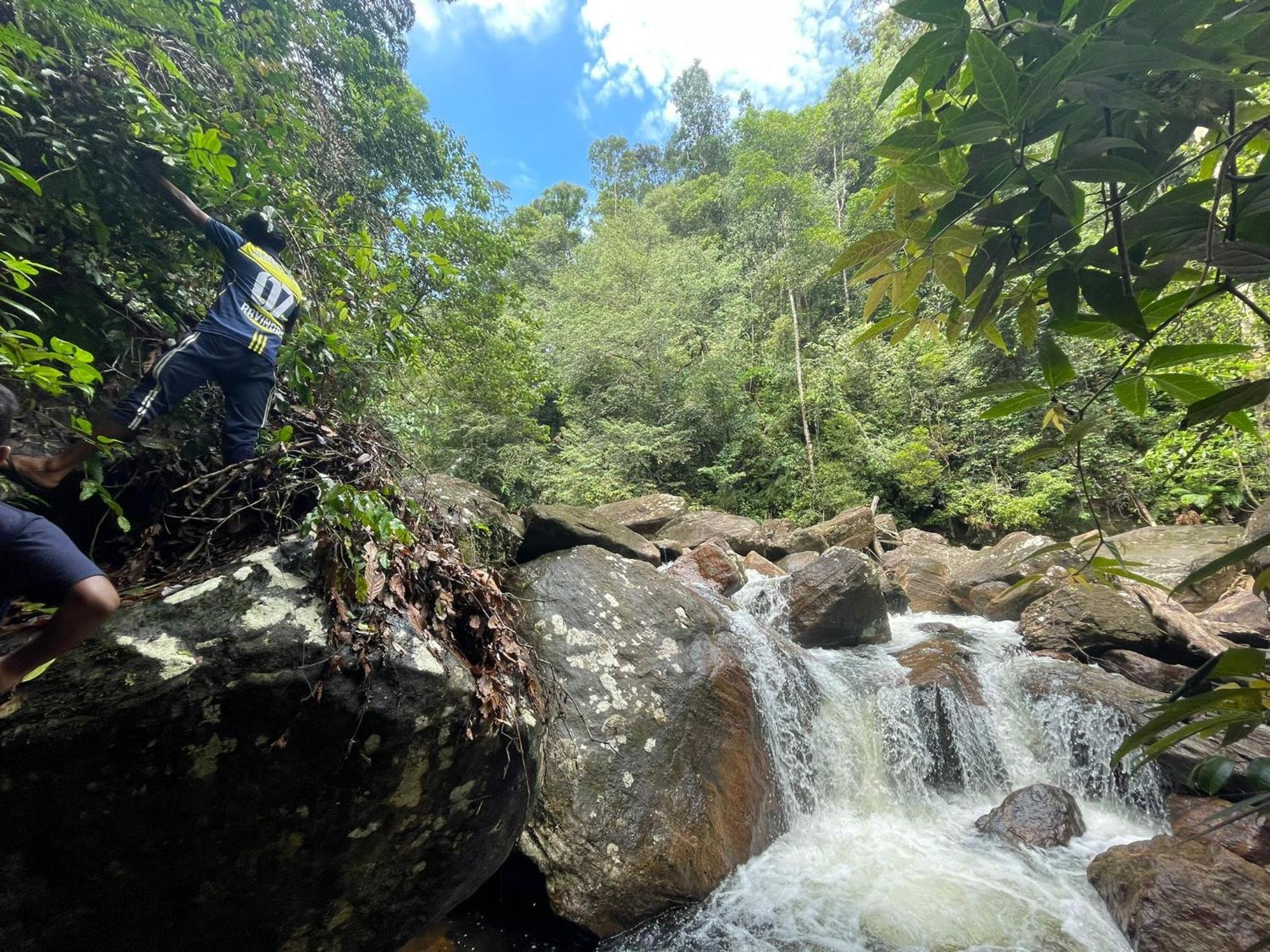 Rainforest Cabin デニヤヤ エクステリア 写真
