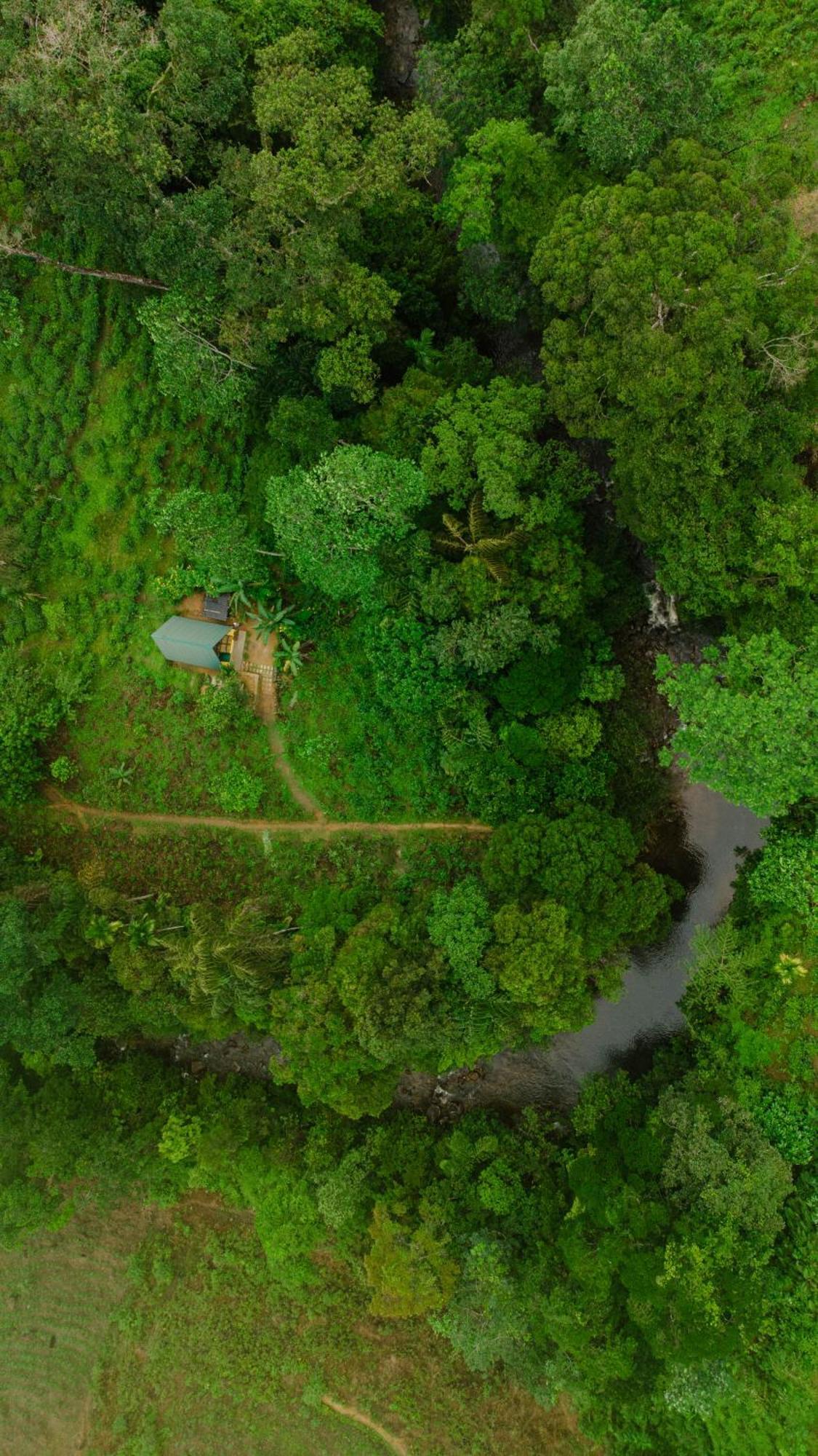 Rainforest Cabin デニヤヤ エクステリア 写真