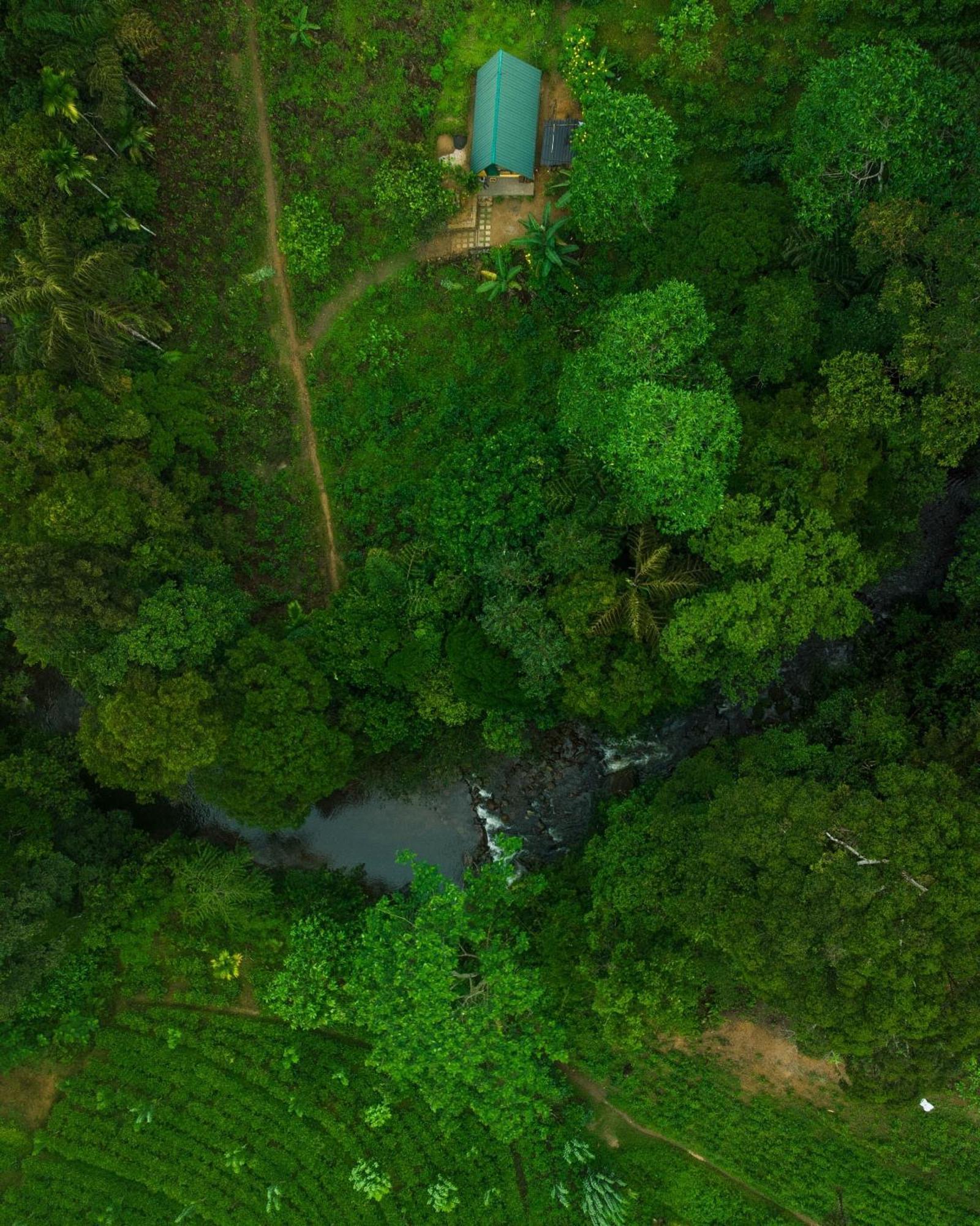 Rainforest Cabin デニヤヤ エクステリア 写真