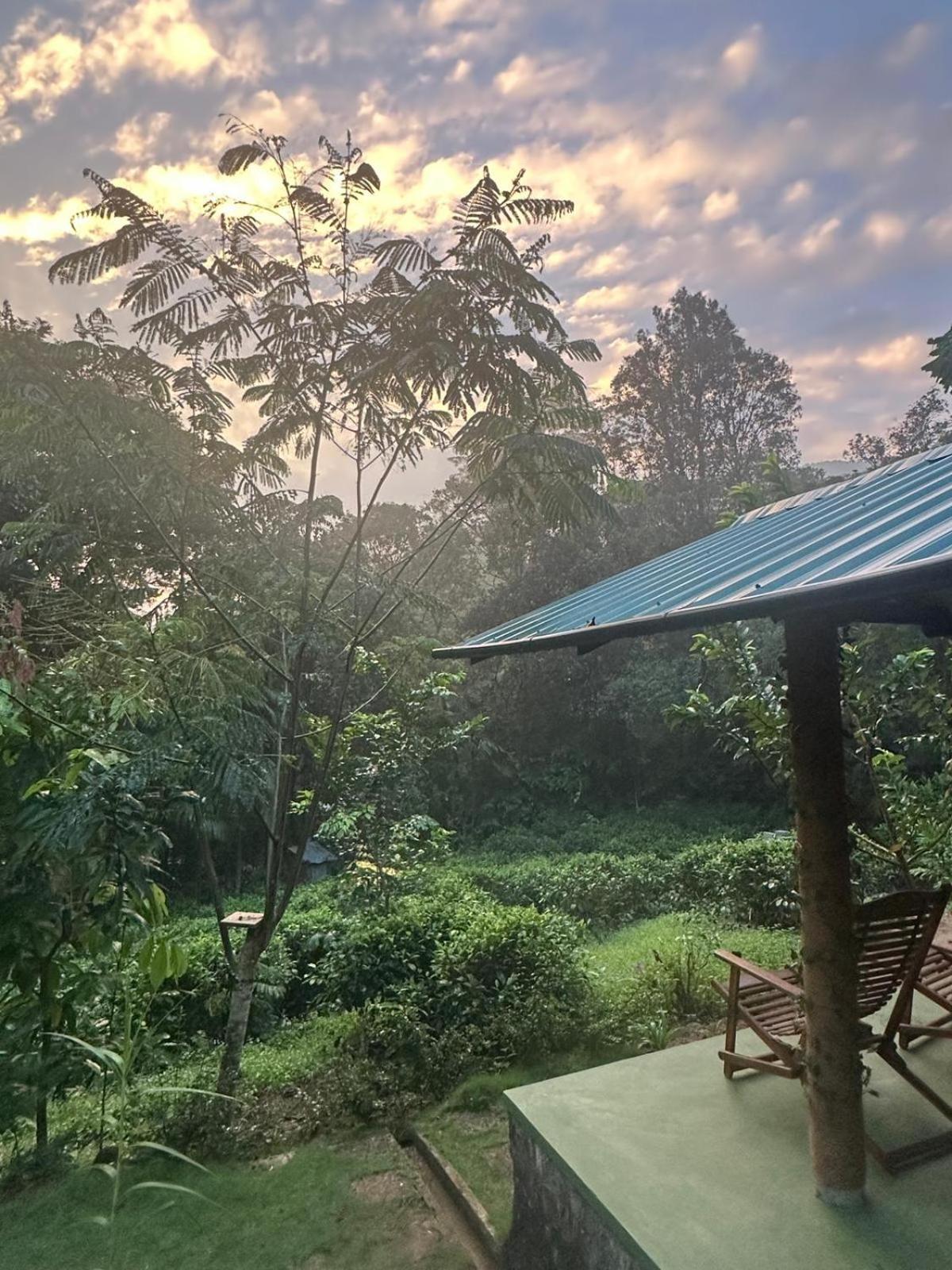 Rainforest Cabin デニヤヤ 部屋 写真