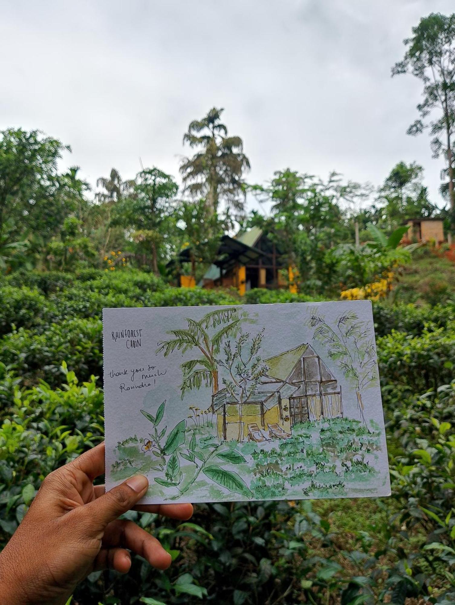Rainforest Cabin デニヤヤ エクステリア 写真