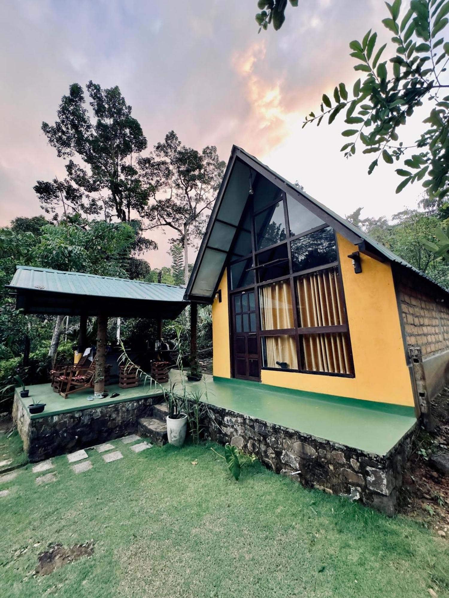 Rainforest Cabin デニヤヤ エクステリア 写真