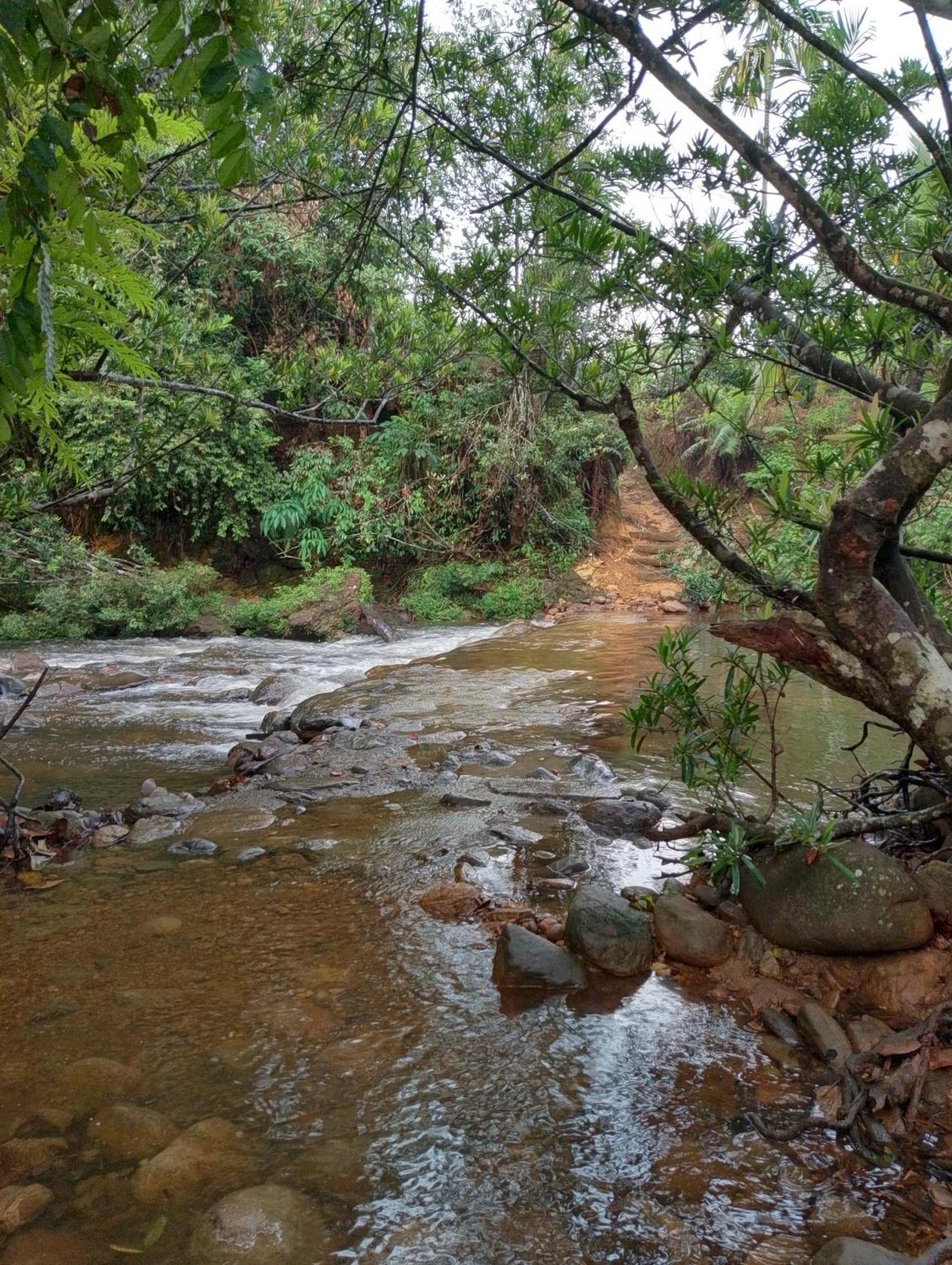 Rainforest Cabin デニヤヤ エクステリア 写真